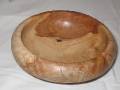 Stringy Bark Root_1 Size 14cm (5.5in) - Rolled Edge - $A40